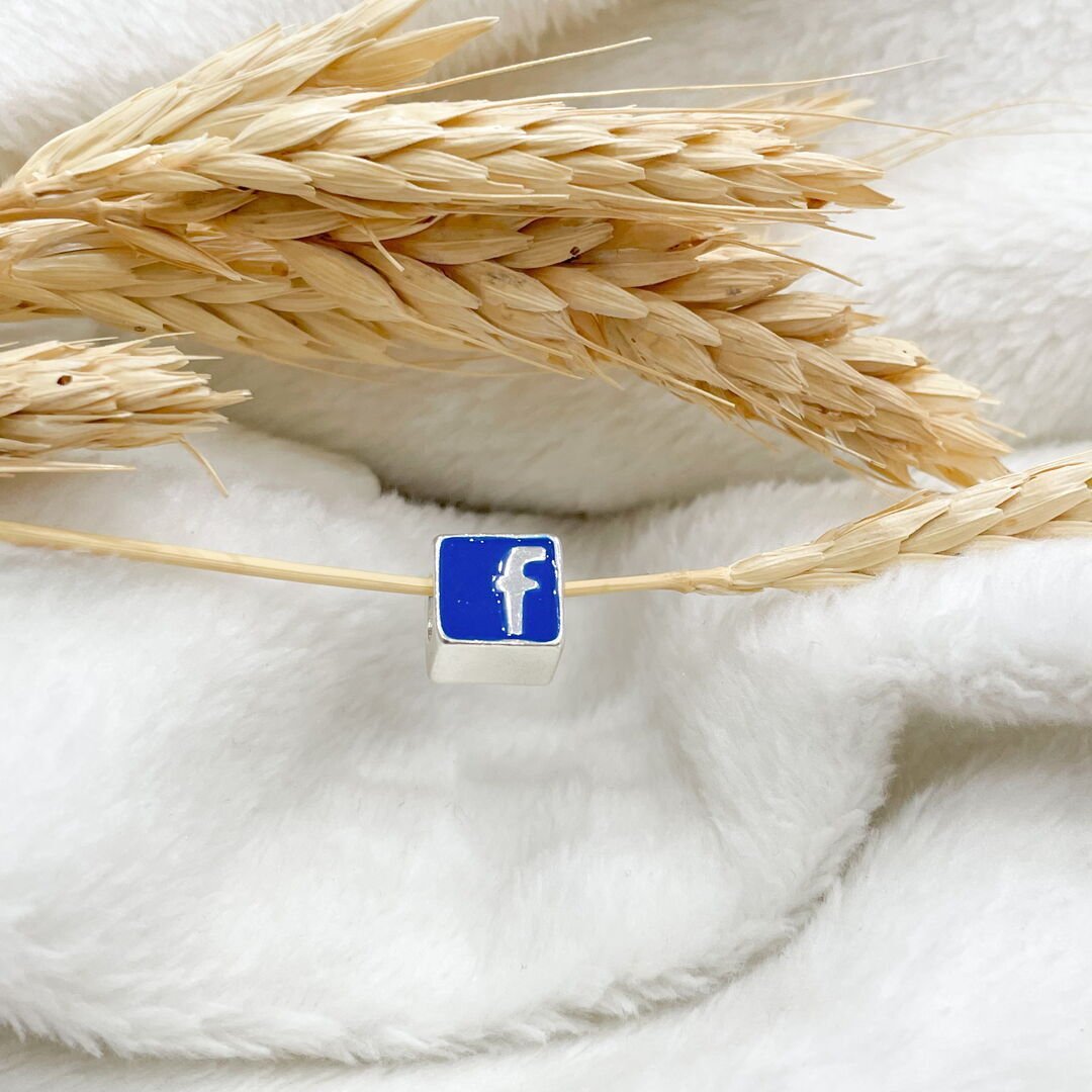 Berloque Facebook Passador Esmaltado Prateado