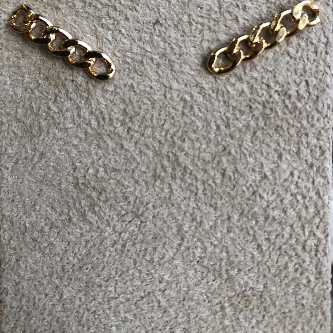 Brinco Ear Hook Elos