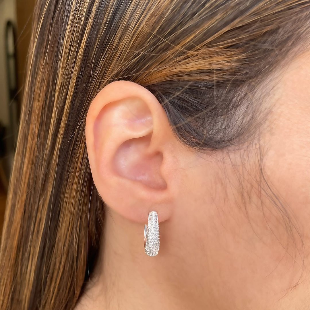 Argola Oval Cravejada Cristal Prateada